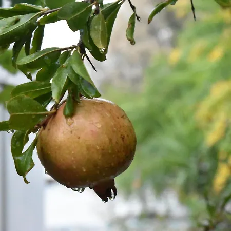 بيت للعطل Casa Al Mare *