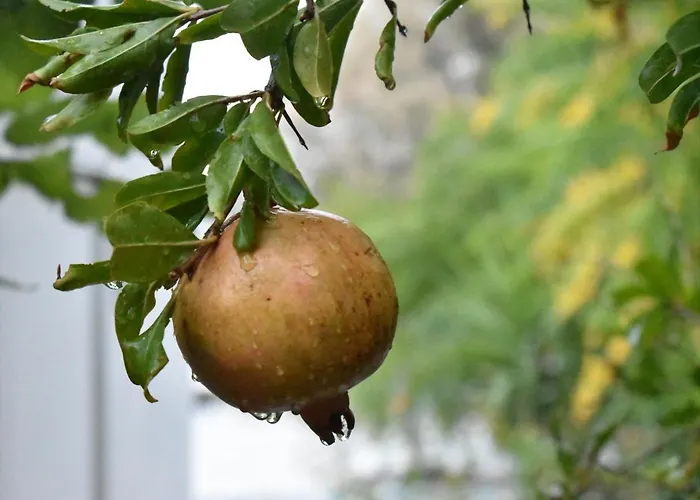 Сasa de vacaciones Casa Al Mare *